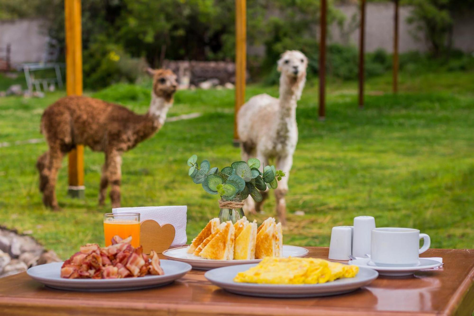 Hacienda Del Valle Sagrado Urubamba Zewnętrze zdjęcie